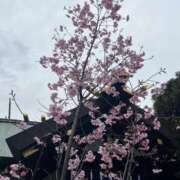 あかね 素敵な出会いを🌟 One More 奥様　西川口店