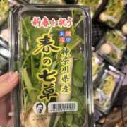 ヒメ日記 2025/01/07 18:56 投稿 せな 東京人妻セレブリティ（ユメオト）