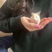 ヒメ日記 2025/04/13 02:20 投稿 みこと One More奥様 大宮店