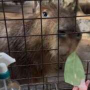 ヒメ日記 2025/12/11 05:50 投稿 みこと One More奥様 大宮店