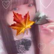 ヒメ日記 2024/12/09 07:32 投稿 かえで 萌えカワ