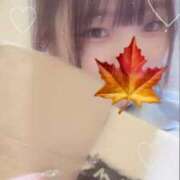 ヒメ日記 2024/12/15 23:52 投稿 かえで 萌えカワ