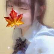 ヒメ日記 2024/12/15 23:59 投稿 かえで 萌えカワ