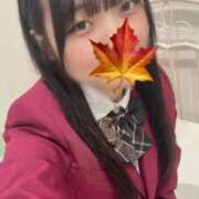 ヒメ日記 2024/12/30 07:35 投稿 かえで 萌えカワ