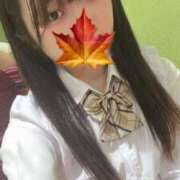 ヒメ日記 2025/01/03 09:59 投稿 かえで 萌えカワ