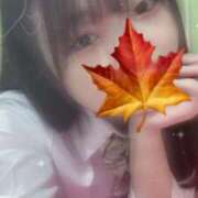 ヒメ日記 2025/01/03 15:39 投稿 かえで 萌えカワ