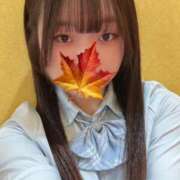 ヒメ日記 2025/02/05 14:27 投稿 かえで 萌えカワ