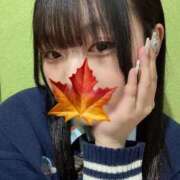 ヒメ日記 2025/03/16 07:02 投稿 かえで 萌えカワ