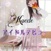 ヒメ日記 2025/04/01 21:22 投稿 かえで 萌えカワ