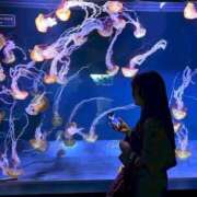 ヒメ日記 2025/04/08 02:52 投稿 かえで 萌えカワ