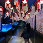 ヒメ日記 2025/04/09 15:15 投稿 かえで 萌えカワ