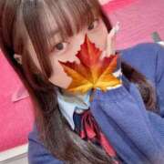 ヒメ日記 2025/04/16 07:42 投稿 かえで 萌えカワ