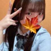 ヒメ日記 2025/04/20 12:04 投稿 かえで 萌えカワ