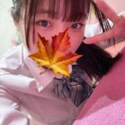 ヒメ日記 2025/04/27 14:42 投稿 かえで 萌えカワ