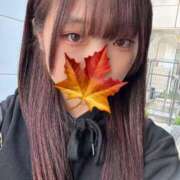 ヒメ日記 2025/04/29 14:05 投稿 かえで 萌えカワ