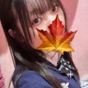 ヒメ日記 2025/05/19 01:04 投稿 かえで 萌えカワ