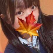 ヒメ日記 2025/05/29 16:20 投稿 かえで 萌えカワ