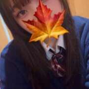 ヒメ日記 2025/08/16 12:55 投稿 かえで 萌えカワ