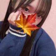 ヒメ日記 2025/11/17 07:42 投稿 かえで 萌えカワ