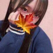 ヒメ日記 2025/11/19 12:44 投稿 かえで 萌えカワ