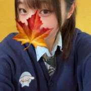 ヒメ日記 2025/12/02 09:58 投稿 かえで 萌えカワ