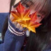 ヒメ日記 2025/12/12 14:52 投稿 かえで 萌えカワ