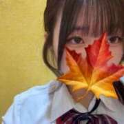 ヒメ日記 2025/12/17 08:12 投稿 かえで 萌えカワ