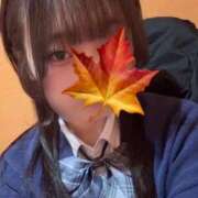 ヒメ日記 2025/12/29 08:16 投稿 かえで 萌えカワ