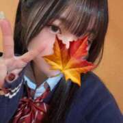 ヒメ日記 2025/12/31 08:00 投稿 かえで 萌えカワ