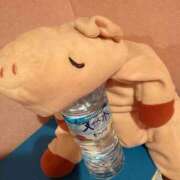 ヒメ日記 2026/01/11 18:22 投稿 かえで 萌えカワ