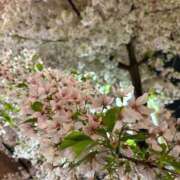 ヒメ日記 2026/04/06 22:50 投稿 かえで 萌えカワ