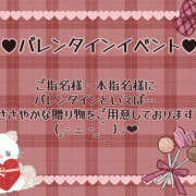 ヒメ日記 2025/02/10 15:04 投稿 きら 蒼いうさぎ