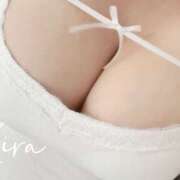 ヒメ日記 2026/03/22 12:50 投稿 きら 蒼いうさぎ