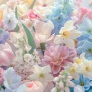 ヒメ日記 2025/01/17 09:28 投稿 にこ 待ちナビ