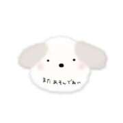 ヒメ日記 2025/04/22 11:15 投稿 にこ 待ちナビ