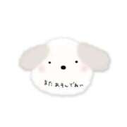 ヒメ日記 2025/04/23 09:25 投稿 にこ 待ちナビ