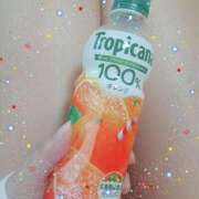 ヒメ日記 2025/05/07 09:45 投稿 にこ 待ちナビ