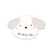 ヒメ日記 2025/07/12 13:39 投稿 にこ 待ちナビ