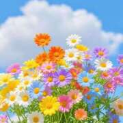 ヒメ日記 2025/08/02 11:30 投稿 にこ 待ちナビ