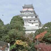 ヒメ日記 2025/11/14 11:35 投稿 にこ 待ちナビ