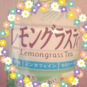 ヒメ日記 2026/02/22 11:15 投稿 にこ 待ちナビ