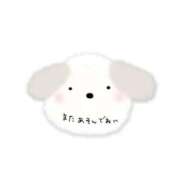 ヒメ日記 2026/10/13 11:25 投稿 にこ 待ちナビ