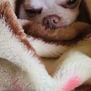 ヒメ日記 2025/11/04 07:18 投稿 えり奥様 人妻です