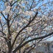 えり奥様 [お題]from:万年口内炎さん 人妻です