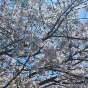 ヒメ日記 2026/04/08 18:44 投稿 えり奥様 人妻です