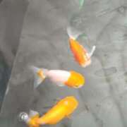 ヒメ日記 2026/07/10 07:56 投稿 えり奥様 人妻です