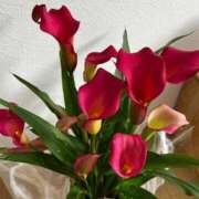 ヒメ日記 2025/05/06 12:47 投稿 山岡万理恵 五十路マダム 博多店