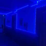 ヒメ日記 2025/03/09 12:43 投稿 みお buzz-B