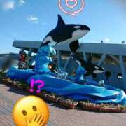 ヒメ日記 2024/12/27 10:06 投稿 つむぎ ぽちゃらん神栖店