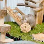 ヒメ日記 2025/04/25 18:19 投稿 つむぎ ぽちゃらん神栖店